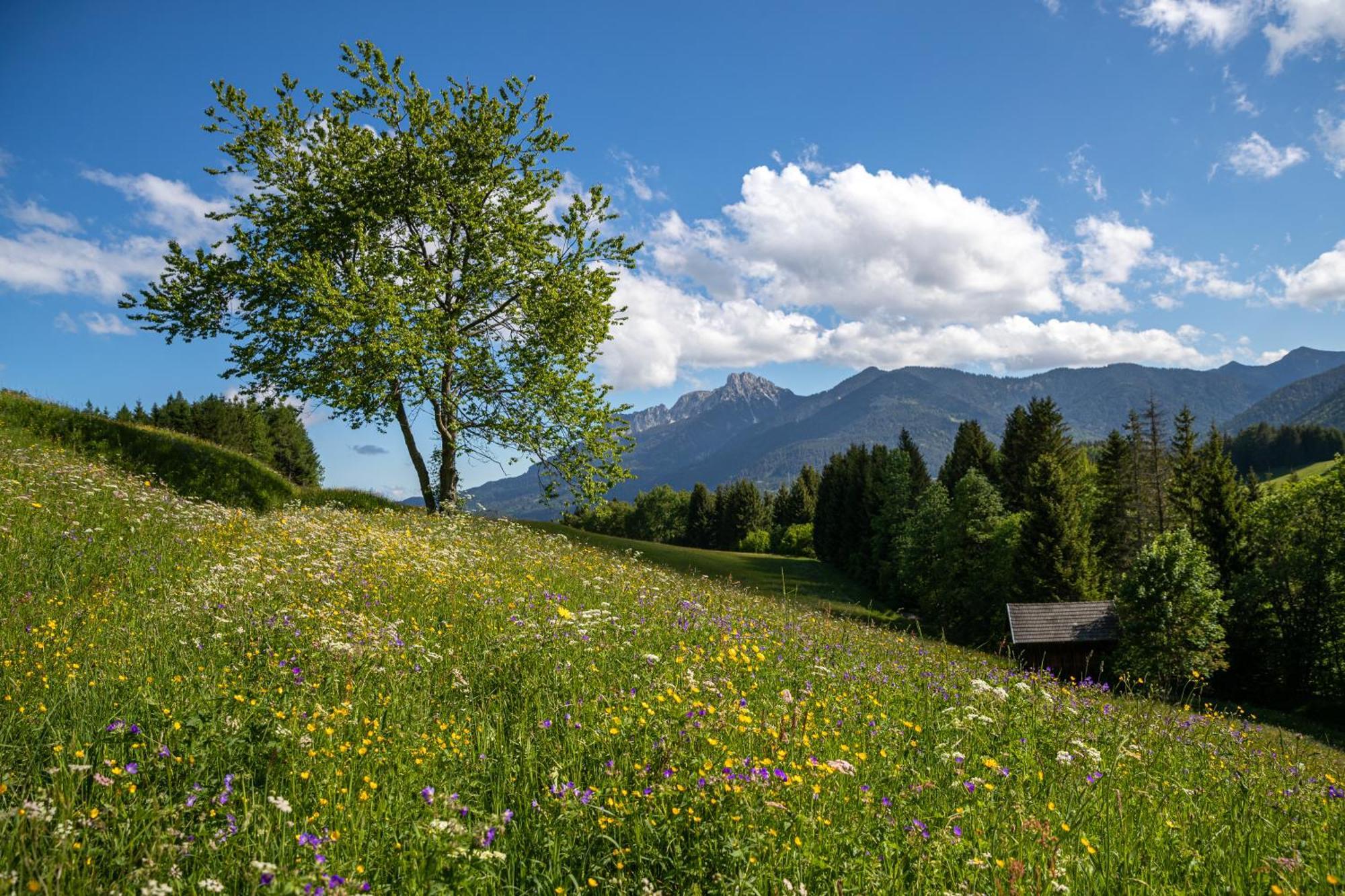 Hotel Krone Tirol 罗伊特 外观 照片